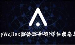 如何使用tpWallet激活上币码