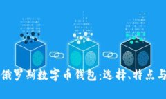 全面解析俄罗斯数字币钱