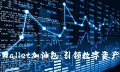 全面解析tpWallet加油包：引