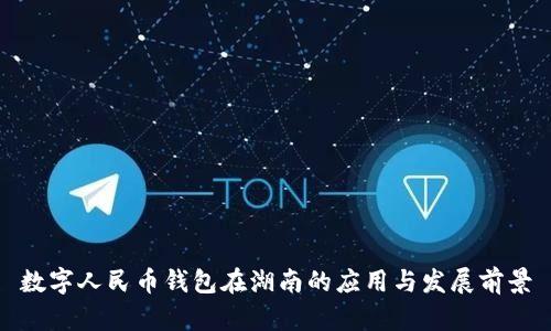 数字人民币钱包在湖南的应用与发展前景