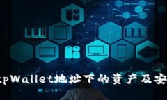  如何查看tpWallet地址下的