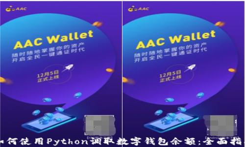 
如何使用Python调取数字钱包余额：全面指南