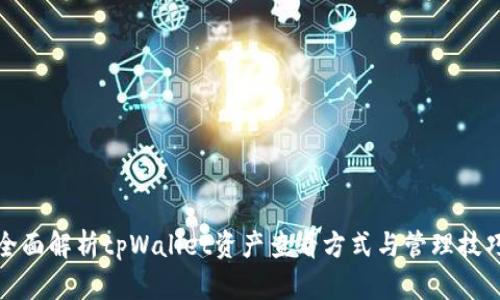 全面解析tpWallet资产查看方式与管理技巧