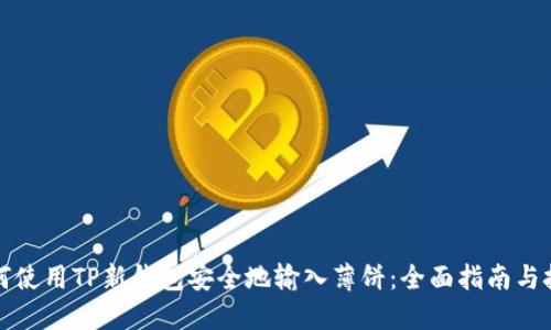 如何使用TP新钱包安全地输入薄饼：全面指南与技巧