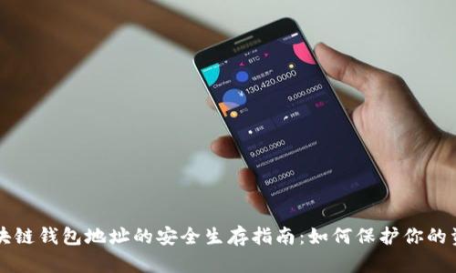 区块链钱包地址的安全生存指南：如何保护你的资产
