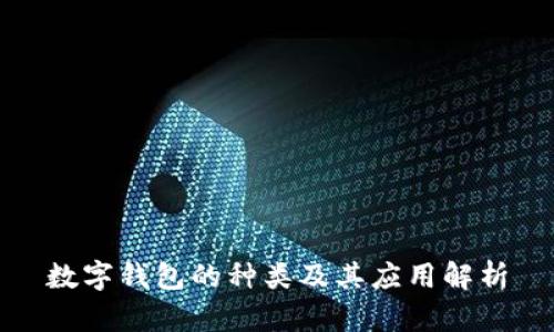 数字钱包的种类及其应用解析