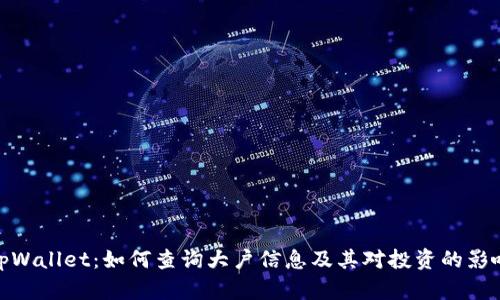 tpWallet：如何查询大户信息及其对投资的影响