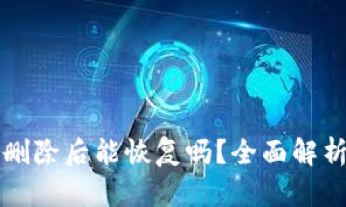 tpWallet被删除后能恢复吗？全面解析与解决方案
