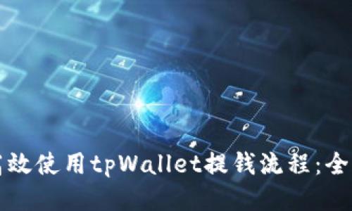如何高效使用tpWallet提钱流程：全面指南