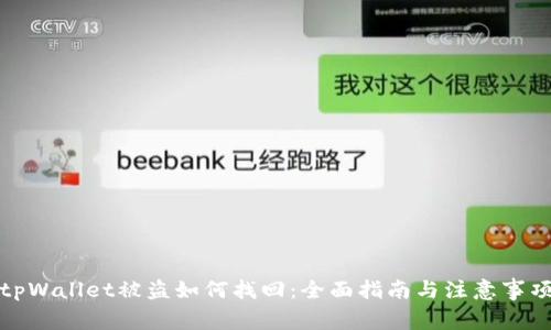 tpWallet被盗如何找回：全面指南与注意事项