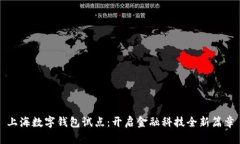 上海数字钱包试点：开启