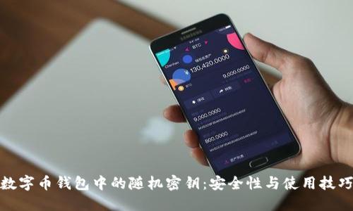 数字币钱包中的随机密钥：安全性与使用技巧
