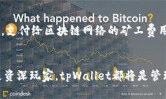   tpWallet如何支持SHIB：全面
