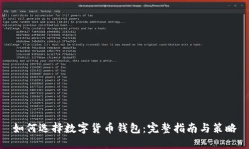 如何选择数字货币钱包：完整指南与策略