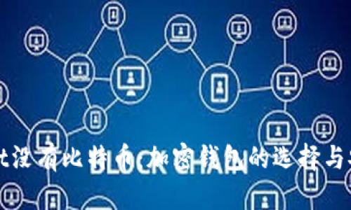 : tpWallet没有比特币：加密钱包的选择与安全性分析