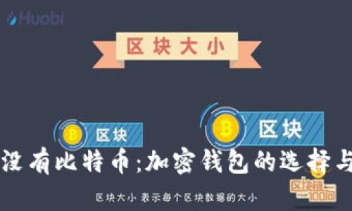 : tpWallet没有比特币：加密钱包的选择与安全性分析