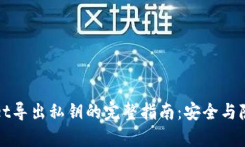 tpWallet导出私钥的完整指南：安全与隐私保障