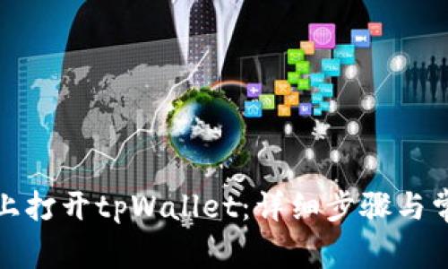 如何在电脑上打开tpWallet：详细步骤与常见问题解答