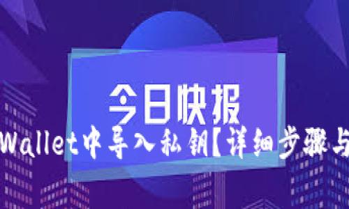 如何在tpWallet中导入私钥？详细步骤与注意事项