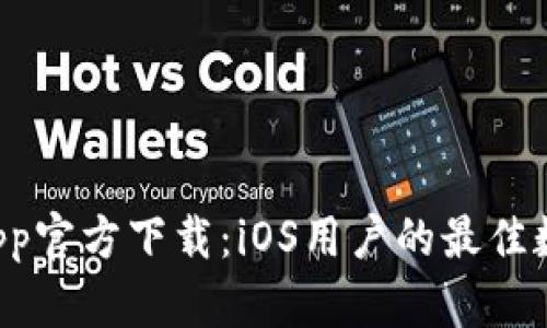 tpWallet App官方下载：iOS用户的最佳数字钱包选择