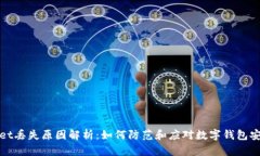 tpWallet丢失原因解析：如何