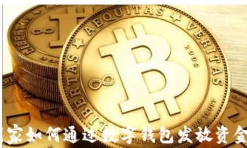 
数字钱包：国家如何通过数字钱包发放资金政策的未来