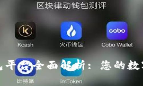 区块链公共钱包平台全面解析: 您的数字资产保护之道
