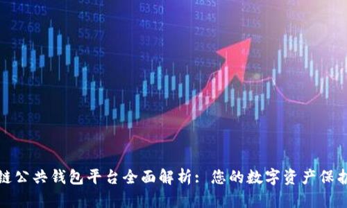 区块链公共钱包平台全面解析: 您的数字资产保护之道