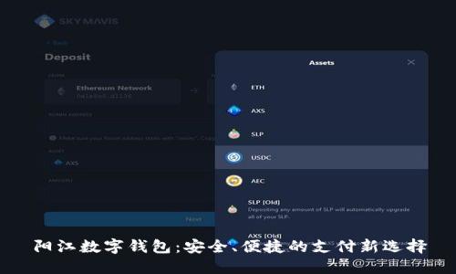 阳江数字钱包：安全、便捷的支付新选择