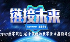 全面解读Anypay数字钱包：