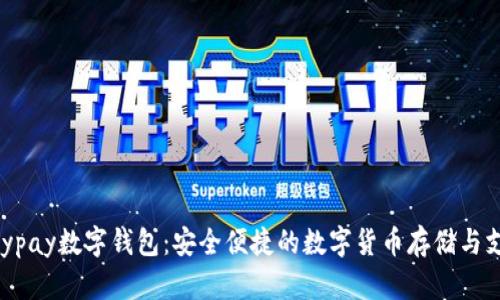 全面解读Anypay数字钱包：安全便捷的数字货币存储与支付解决方案