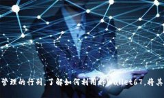 探索tpWallet67：全面解读新