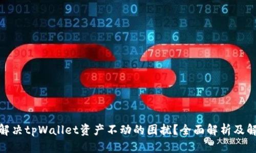 : 如何解决tpWallet资产不动的困扰？全面解析及解决方案