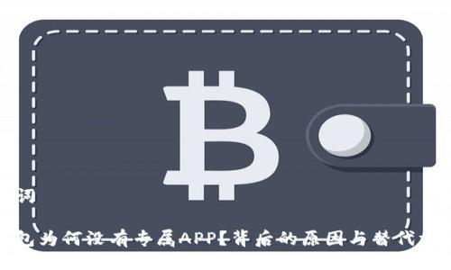 及关键词

数字钱包为何没有专属APP？背后的原因与替代方案解析