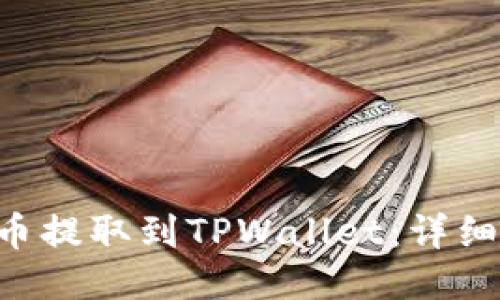如何将PIG币提取到TPWallet：详细步骤与指导