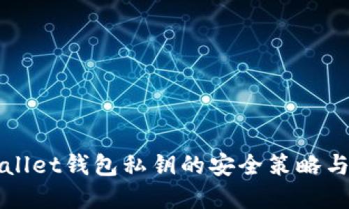 揭秘tpWallet钱包私钥的安全策略与管理技巧