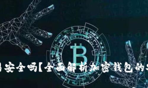 tpWallet交易安全吗？全面解析加密钱包的安全性与风险