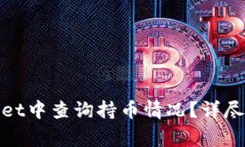 : 如何在tpWallet中查询持币情况？详尽指南及注意事项