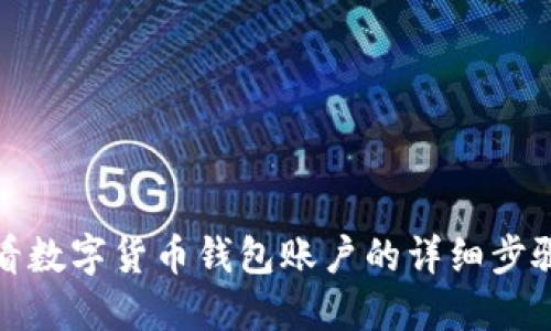 如何查看数字货币钱包账户的详细步骤与技巧