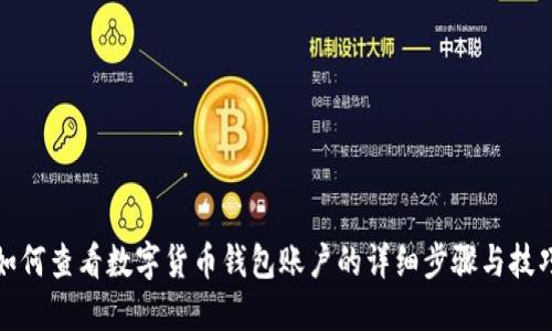 如何查看数字货币钱包账户的详细步骤与技巧