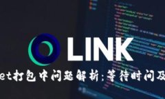 : tpWallet打包中问题解析：