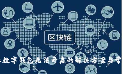 ### 兴业数字钱包无法开启的解决方案与常见问题解答