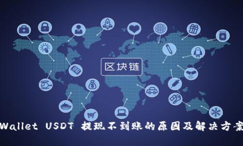 : tpWallet USDT 提现不到账的原因及解决方案详解