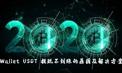 : tpWallet USDT 提现不到账的原因及解决方案详解