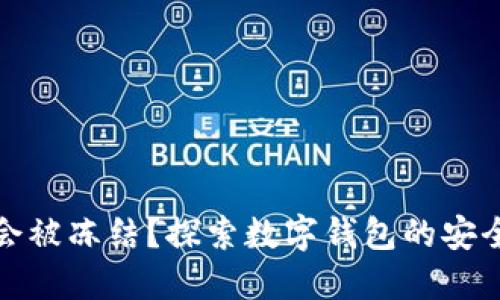 数字钱包会不会被冻结？探索数字钱包的安全性与风险管理