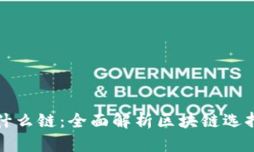 tpWallet选择什么链：全面解析区块链选择的策略与影响