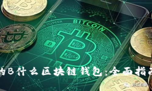 选择适合你的B什么区块链钱包：全面指南与深度分析