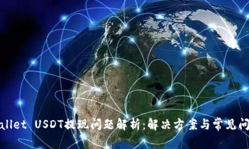: tpWallet USDT提现问题解析：解决方案与常见问题解答