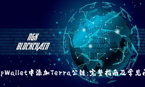 如何在tpWallet中添加Terra公链：完整指南及常见问题解答