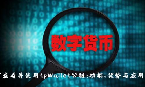 如何查看并使用tpWallet公链：功能、优势与应用指南